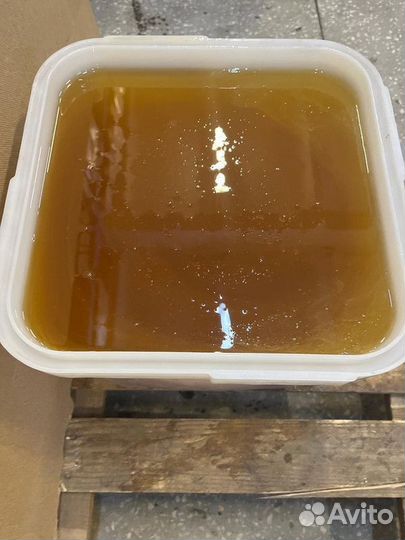 Мед эспарцет оптом