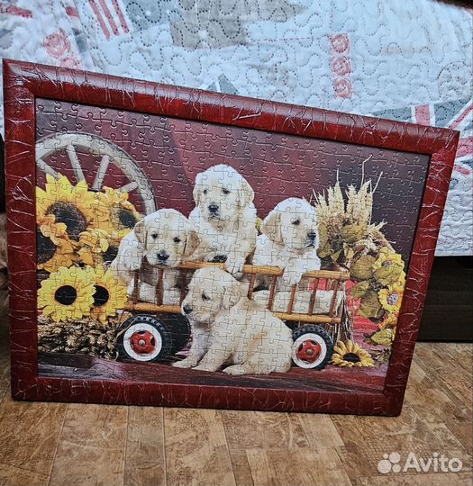 Картина лабрадор, кошки, цветы