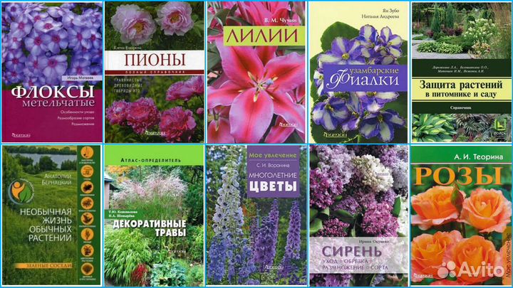 Цветы, ландшафт, деревья, цветники, грибы, сад