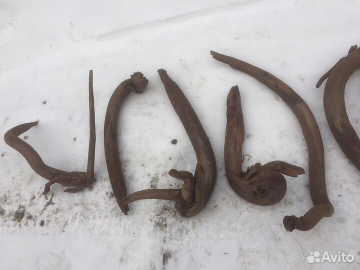 Коряги для террариума