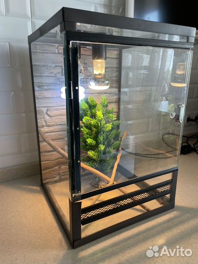 Террариум для хамелеона