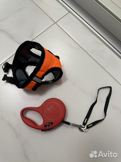 Рулетка для собак flexi 3 m и шлейка