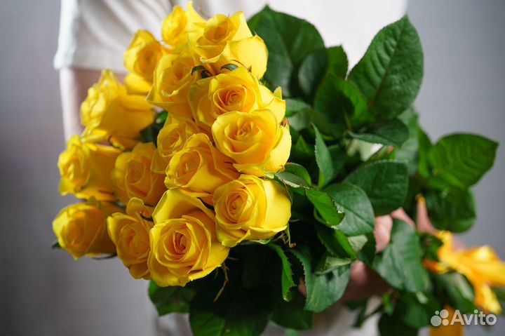 Букет свежих голландских роз 15 шт