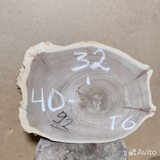 Слеб, спил карагача