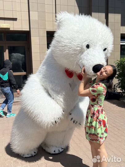 Поздравление Белого Медведя