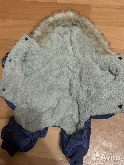 Одежда для собак