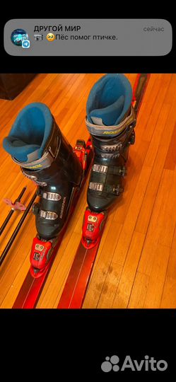 Горные лыжи