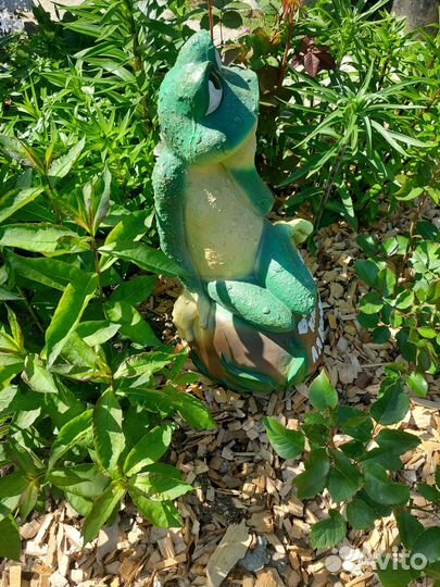 Лягушка большая