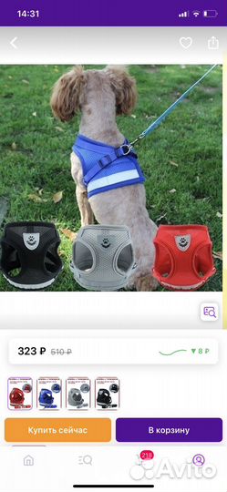 Шлейка с поводком для собак мелких пород и кошек