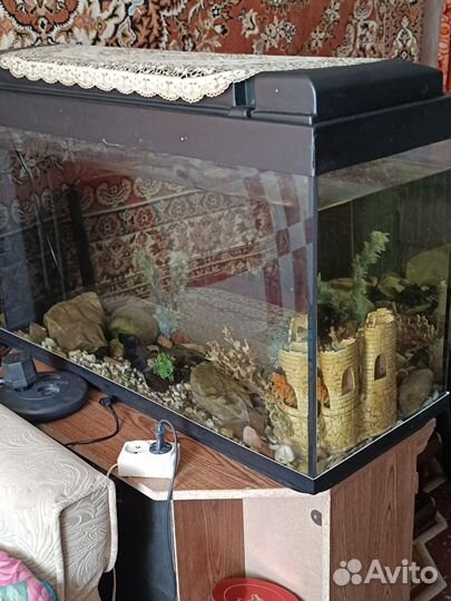 Аквариум с тумбой 200 л. б/у звоните договоримся