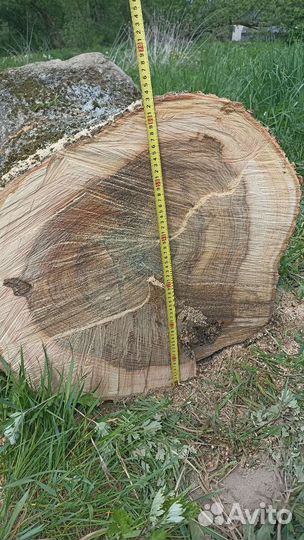 Слэб дерева и спилы (ясень)