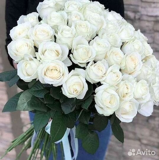 Розы гиганты 140 150 160 170 180 200