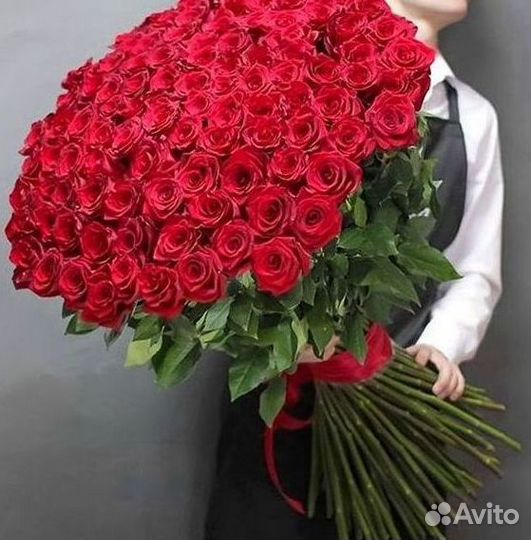 Розы гиганты 140 150 160 170 180 200