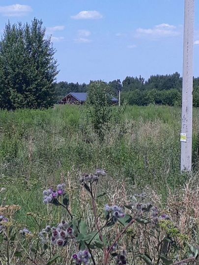 Участок 30 сот. (ИЖС)