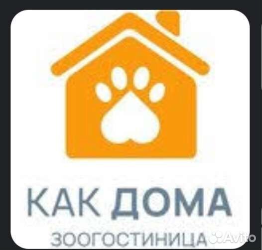 Передержка домашних животных. Гостиница