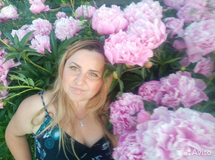 Рассада многолетних цветов