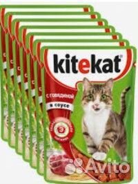 Корм для кошек влажный