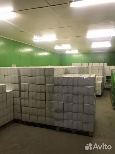 Перчатки нитриловые смотровые, не стирильные