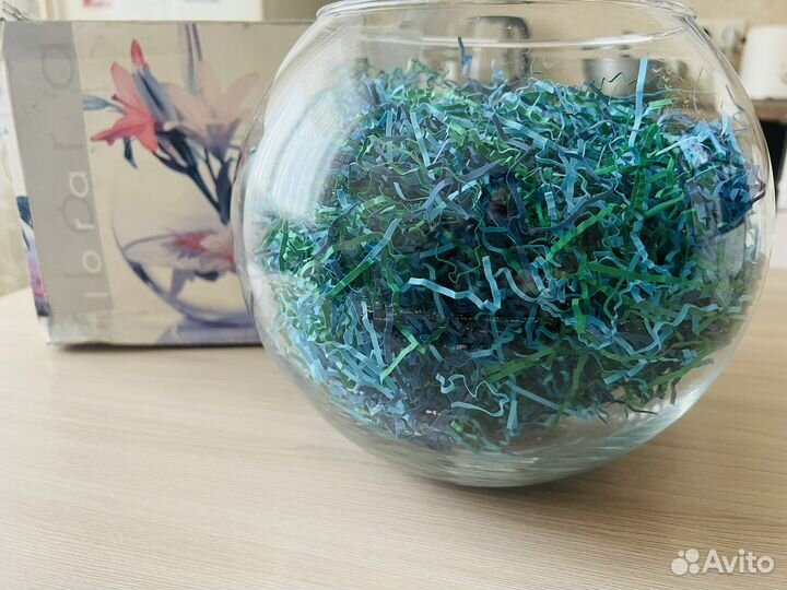 Аквариум для рыбок или интерьера