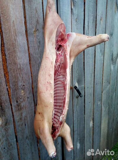 Молочные поросята