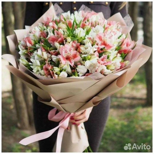 Альстромерия цветы живые букет доставка