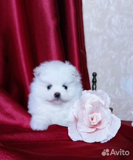 Супер девочка мини