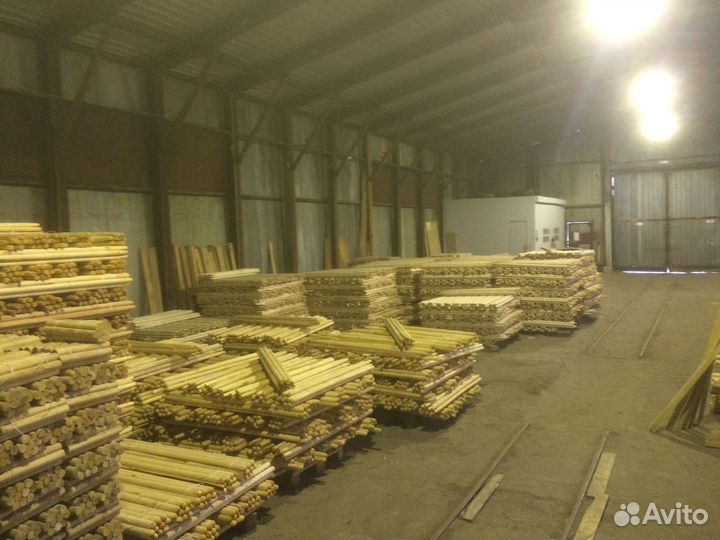 Черенки из березы / Крупный опт / Рязань