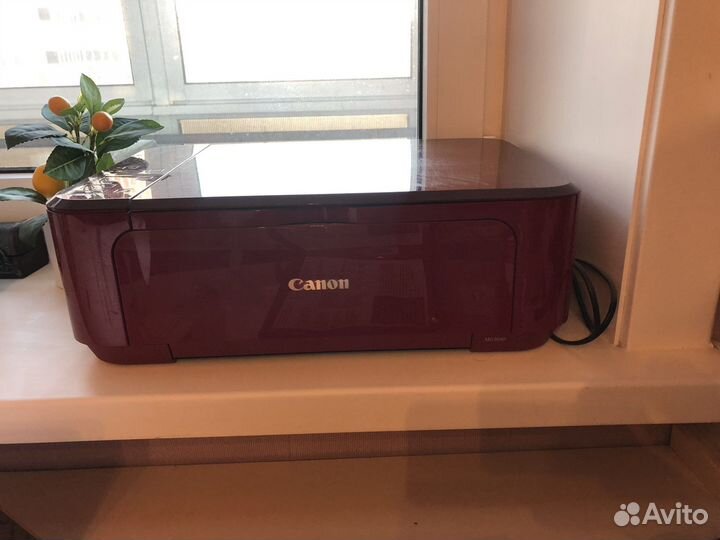 Принтер canon mg3640