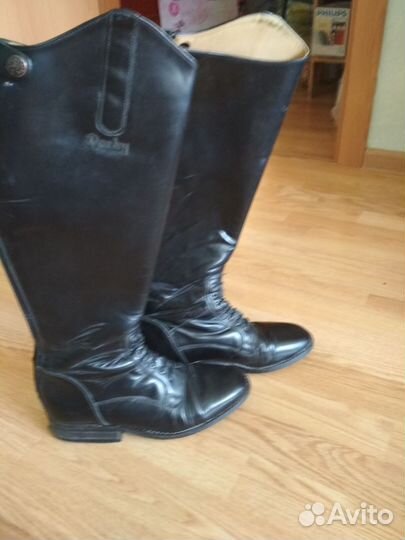 Сапоги для верховой езды 37