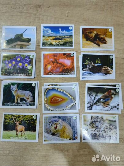 Наклейки из монетки