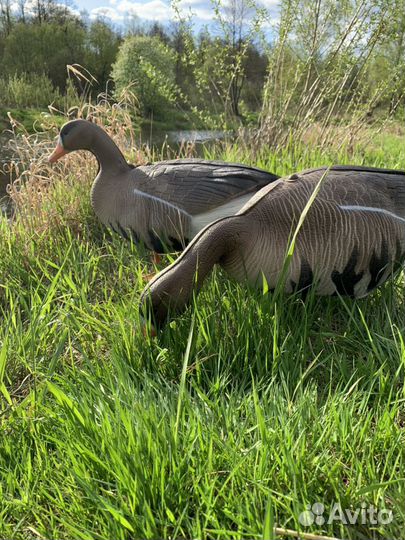 Чучела белолобого гуся North Way Антиблик