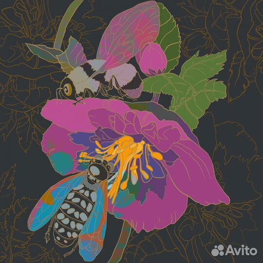 Иллюстрации