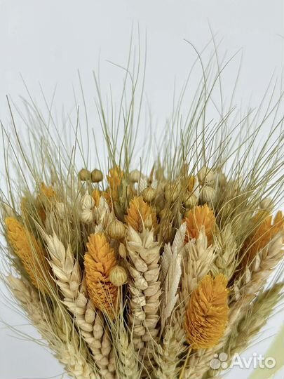 Букет из сухоцветов