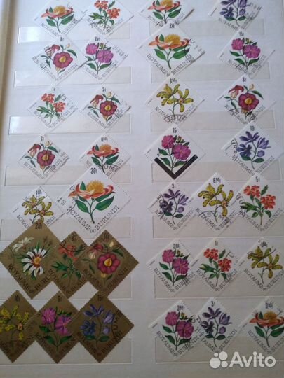 Марки-флора-фауна-2