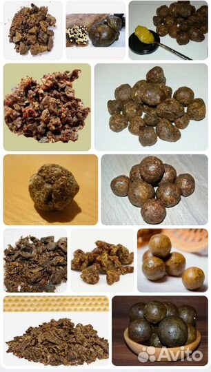 Прополис свежий