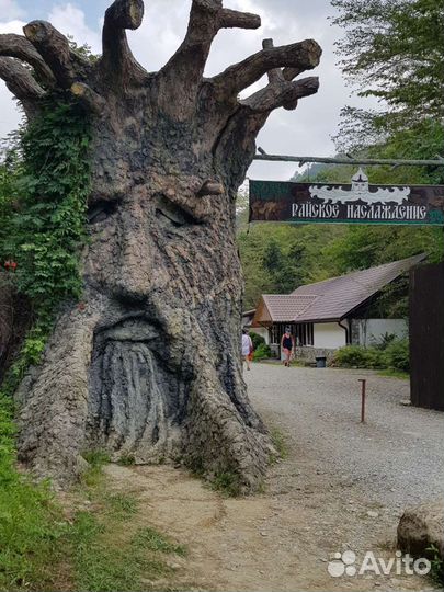 Отдых, экскурсии на водопады, море развлечения