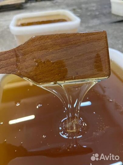 Мед оптом свежий горный