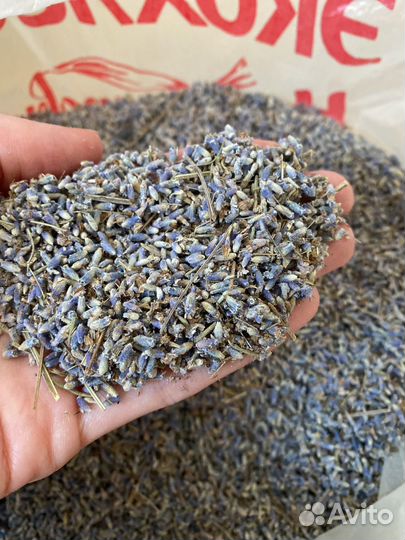 Лаванда россыпью