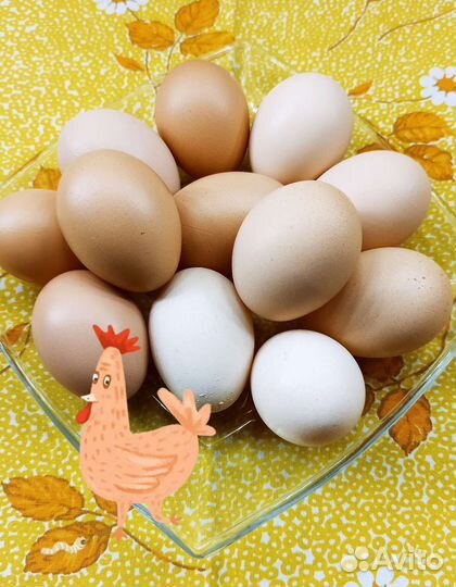 Мясо домашней птицы (бройлер), яйца куриные