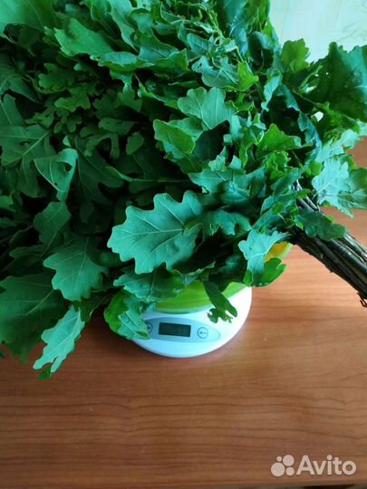 Веник дубовый