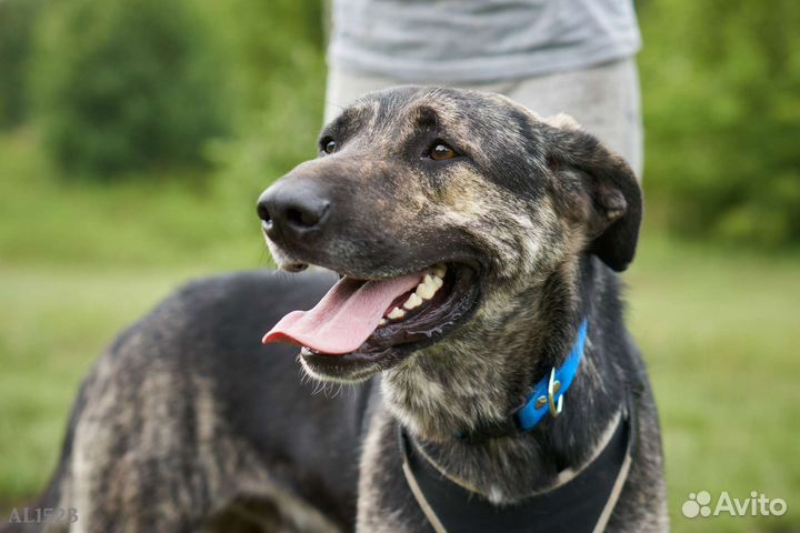 Рик нуждается в любящей семье