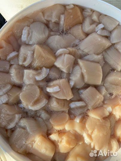 Краб Камчатский и другие морепродукты