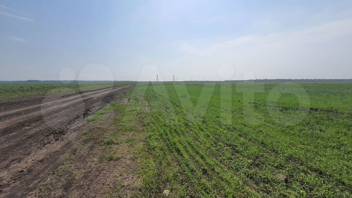 Участок 4 га (ИЖС)