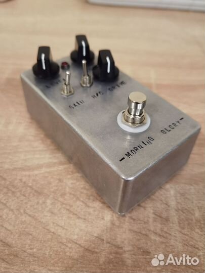 JHS Morning Glory clone