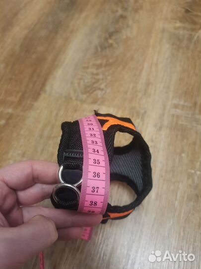 Отдам шлейки для собаки/кота бу