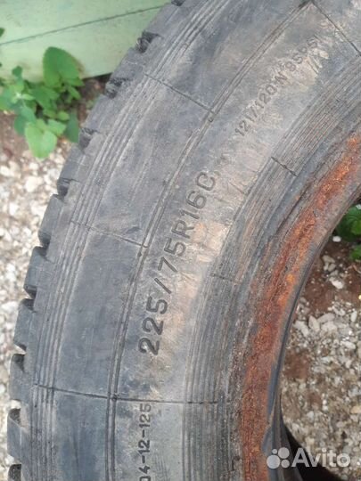 Шины волдай