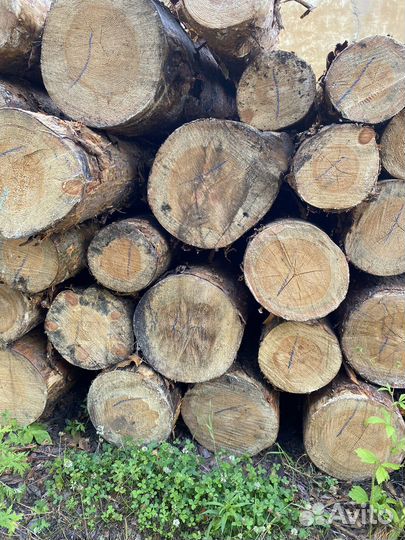 Пиловочник хвойный