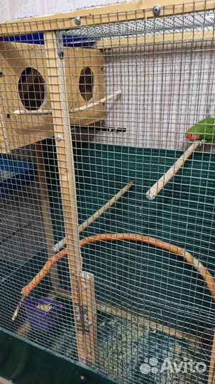 Большие вольеры, клетки для птиц