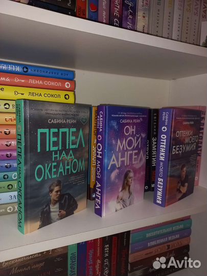 Современная литература Сабина Рейн