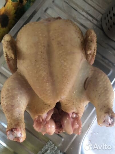 Мясо домашнего бройлера